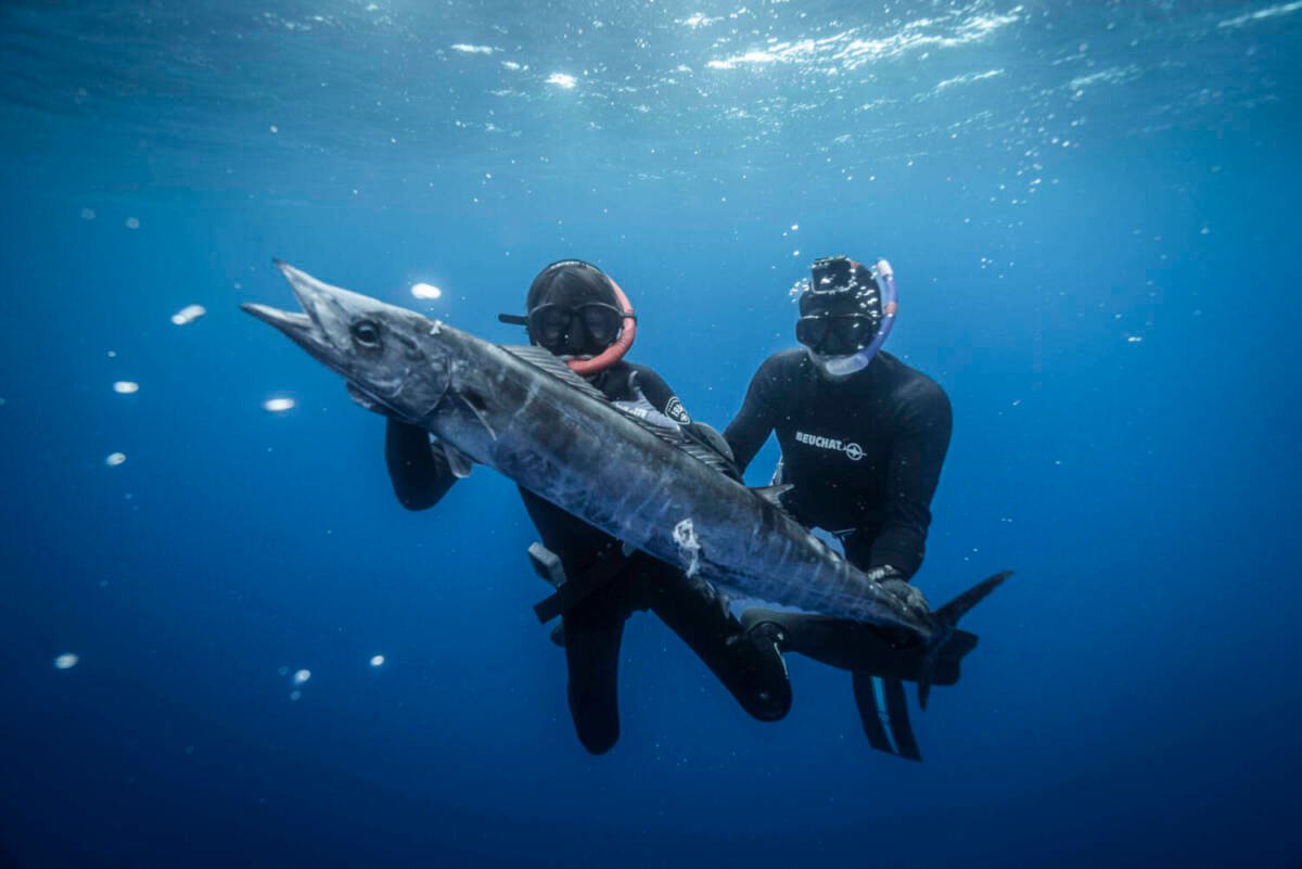 Two divers spearfishing underwater