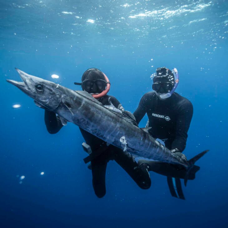 Two divers spearfishing underwater