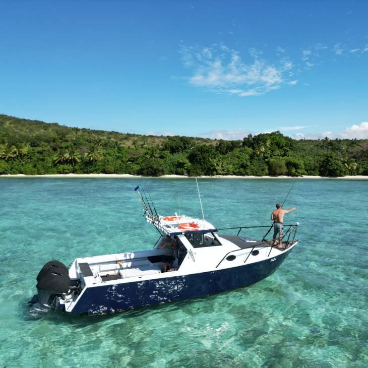 Half Cabin 29 Foot boat